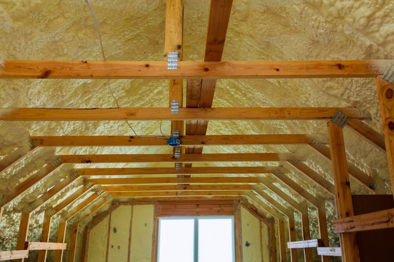Ceiling Insulation Installation in Georgetown, TX