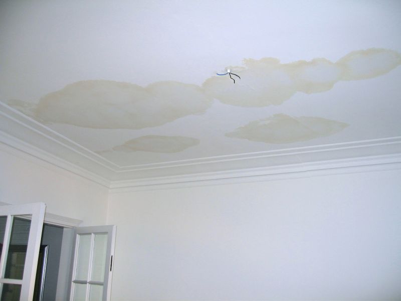 Drywall Water Damage Repair in Conroe, TX